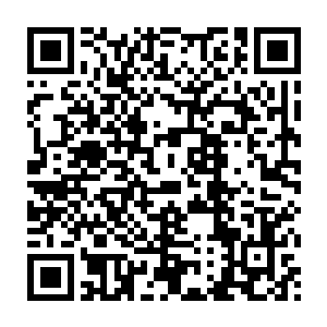 释羽薰明显感觉到怀里的小家伙在她快要避开黑雾时猛的颤了一些二维码生成