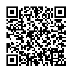 释羽薰甚至看到了几日未见的申申正在门口等她二维码生成