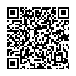 释言现在想的最多的反而不再是如何夺回鳄蛟岛的控制权二维码生成