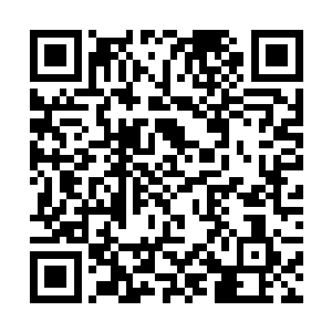 里没有发泄完毕的戏瘾这次终于可以彻底发挥一次了二维码生成