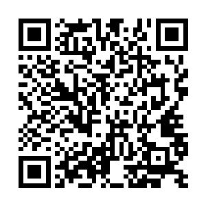 里边都是刚才自己靠在柳逸尘肩膀上时候偷偷照的二维码生成