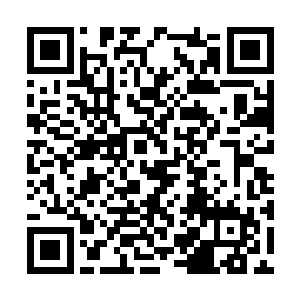 里面内容是各种探索宝具在天道仙域使用过的报告二维码生成