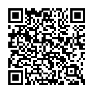 里面可是封印着一只圣级九层后期巅峰的混沌兽二维码生成