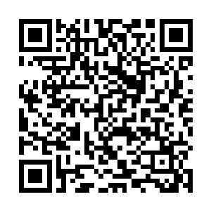 里面就含有修炼大帝级功法进阶圣阶的骑士的强大气息二维码生成