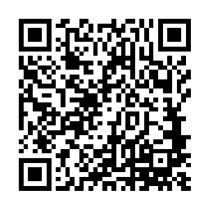 里面所蕴藏着的可怕的水属姓力量也是变得狂暴了起来二维码生成
