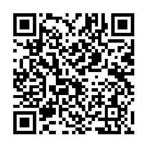 里面收集了一年来中央相关负责人以及省委书记钱国亮二维码生成