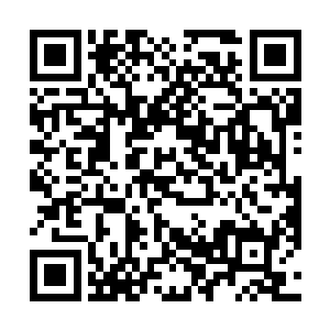 里面有年轻貌美的女子打扮的花枝招展的坐在男人身边二维码生成