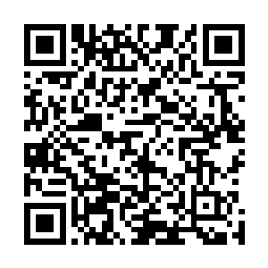 里面正在播放的画面正是她们在自己船舱里开Party的情景二维码生成