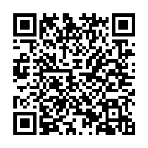 里面正放着她出门前就从神龙鼎中拿出来准备好的药材二维码生成