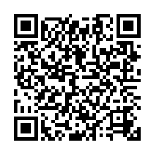 里面的世界规则一般情况下就会沿着设定者的意愿而生二维码生成