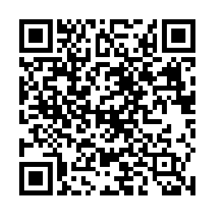 里面的两个恐怖份子是人家军区同志追捕了很久的对象二维码生成