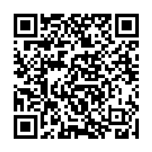 里面的力量就可以立刻让杨戬提升到足以飞升的境界二维码生成