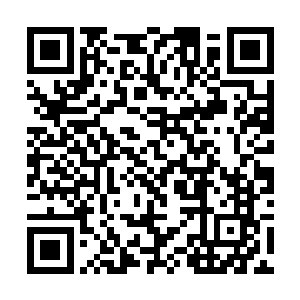 里面的山峰与妖鸦竟然形成立体的实物立在画卷之上二维码生成