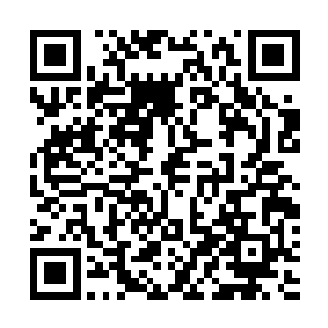里面的布局和机关也都是铁匠与工匠按夭华的吩咐打造的二维码生成