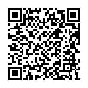 里面的所有雕像全都化为一尊尊鲜活的人族圣人二维码生成