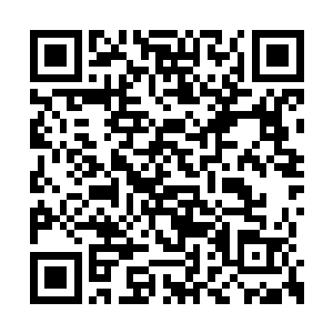 里面的湿寒之气可以让它们僵硬的身躯舒适一些二维码生成