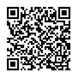 里面的营养成份也要比外面的屎更丰富一些――二维码生成