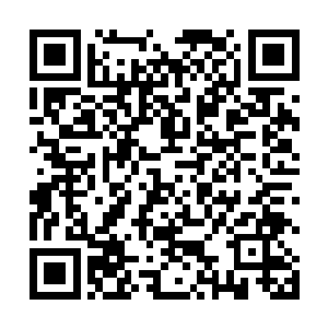 里面的记录的拳法和他以前修炼过的碎星魔拳同出一脉二维码生成