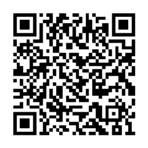 里面的驾驭者自然也遭受到了洪水泛滥般的攻击二维码生成