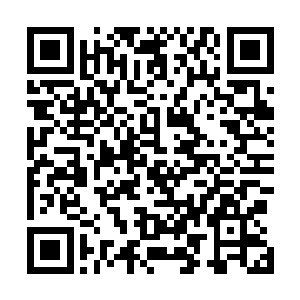 里面蕴藏的天威就连圣级九层后期巅峰也有着陨落的危险二维码生成