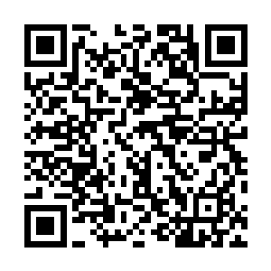 里面装有克制腐符尸气封印球的三个魔虫尸体脑组织成分二维码生成