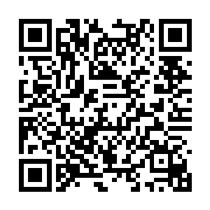 里面记录了奥利维亚被扔到孤儿院之后全部的资料二维码生成