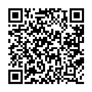 里面说不定蕴藏着四万年前遗留下来的修炼秘法二维码生成