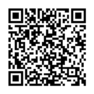 里面都是我昨天晚上杀的那些杀手的身份和照片二维码生成
