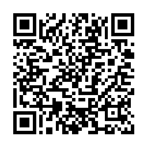 里面NPC都是他们自己购买回颜丸保持自己的容貌二维码生成