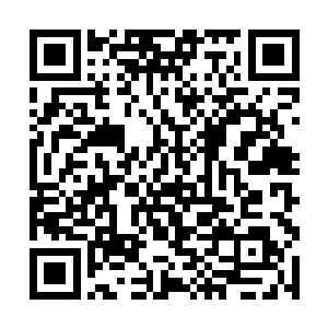 重伤的三十个武者此时也强撑着身体将夜染护在中央二维码生成