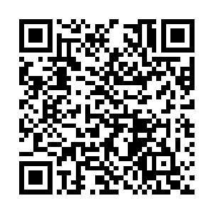 重做并经过一次加强的大火卡萨丁q护盾遭到大砍二维码生成