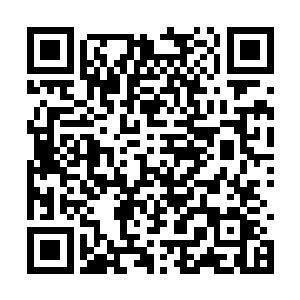 重创寻常天阶六星巅峰层次的武者也没有一点问题二维码生成