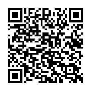 重大夫不得不跟沈苍苍仔细的讲起了刚才的事情二维码生成