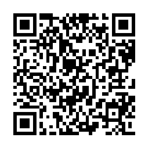 重大夫也不打算在晏锦面前暴露自己精湛的医术二维码生成