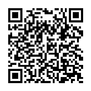 重府里不少人人早已经有了在安平城安家落户的想法二维码生成