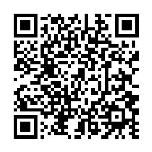 重新出现在艾玛帝都星皇宫一间奢华房间当中的赵虎二维码生成