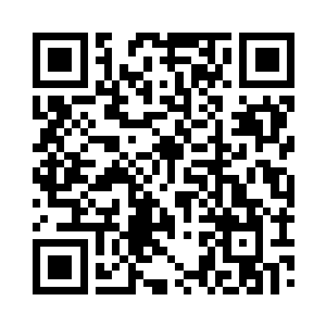 重新变为了一只如兔子一般大小的小山猫二维码生成