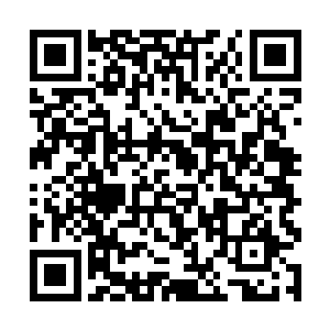 重新将自己所有的注意力放在了身前的傀儡人偶身上二维码生成
