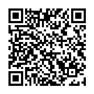 重新拿起林烽交给他的东西开始一点点的学习了起来二维码生成