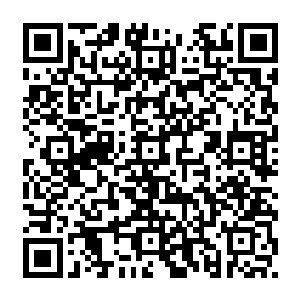 重新换了一辆车返回了伦勃朗大街……也就是那位百花魔女所说的那个公寓那边了二维码生成