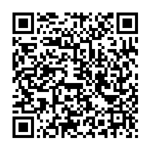 重新理顺自己过去的梦……学会在一点点成长进步中接纳自己的过去二维码生成
