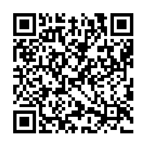 重新看了一遍自己写下来的叔本华的理论原理论述二维码生成