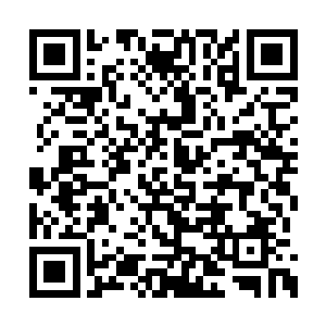 重点说明了圣弃界有一名实力很强的源境界强者二维码生成