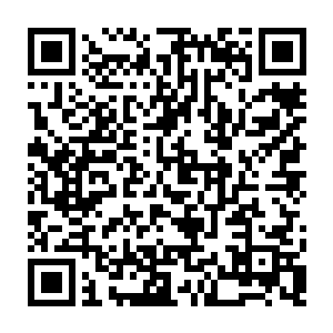 重点还在给爸爸妈妈以及公婆买的礼物都带上就跟着去机场上自家的飞机二维码生成