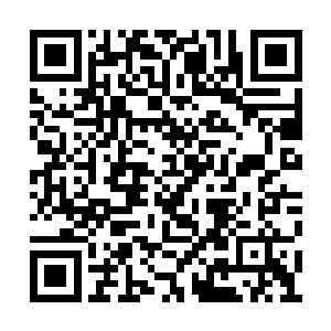 重葵把行宫中所有相貌绝艳的女子都打听了一遍二维码生成