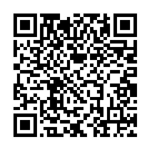 重葵看向灵王……那几乎占据了整个房间的庞大身躯二维码生成