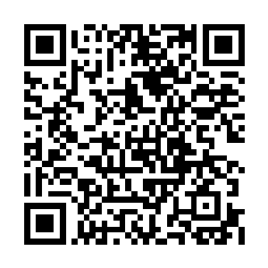 重葵知道此刻灵王正在她的灵兽空间里呼呼大睡二维码生成