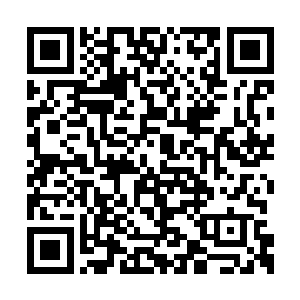 重葵身上另一块万兽无疆是从赵如意那里得到的二维码生成