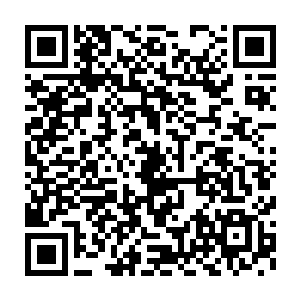 重要的在于电影里尤其是优质佳作中有多少少数种族演员可供选择二维码生成