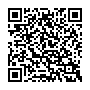 重要的是王阳对于这个姑娘也是有那么一点意思二维码生成